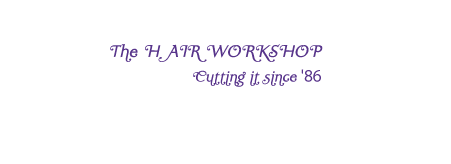 Hair Workshop