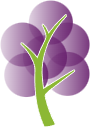 Grape Tree